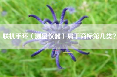 联机手环(测量仪器)属于商标第几类? 联机手环(测量仪器)属于商标第几类?