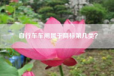 自行车车闸属于商标第几类? 自行车车闸属于商标第几类?