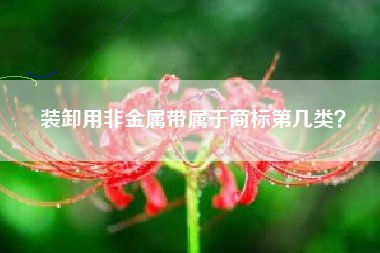 装卸用非金属带属于商标第几类? 装卸用非金属带属于商标第几类?