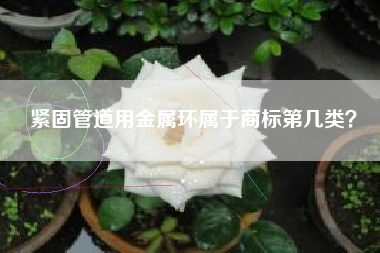 紧固管道用金属环属于商标第几类? 紧固管道用金属环属于商标第几类?