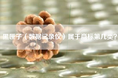 黑匣子(数据记录仪)属于商标第几类? 黑匣子(数据记录仪)属于商标第几类?