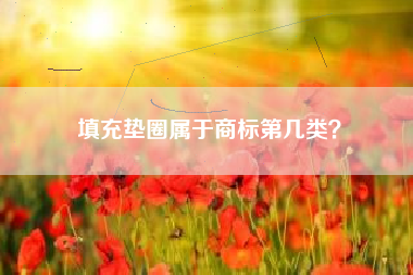 填充垫圈属于商标第几类? 填充垫圈属于商标第几类?