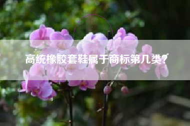 高统橡胶套鞋属于商标第几类? 高统橡胶套鞋属于商标第几类?