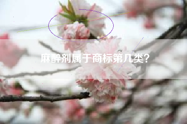 麻醉剂属于商标第几类? 麻醉剂属于商标第几类?