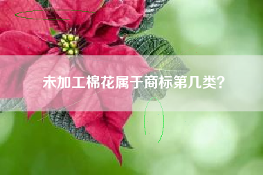 未加工棉花属于商标第几类? 未加工棉花属于商标第几类?