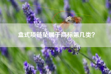 盒式项链坠属于商标第几类? 盒式项链坠属于商标第几类?