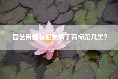 园艺用罐装泥炭属于商标第几类？