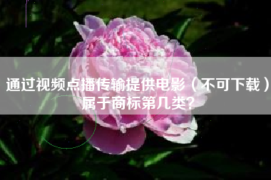 通过视频点播传输提供电影(不可下载)属于商标第几类? 通过视频点播传输提供电影(不可下载)属于商标第几类?