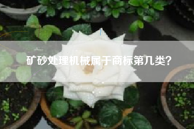 矿砂处理机械属于商标第几类? 矿砂处理机械属于商标第几类?
